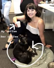 Luna came to work with me!