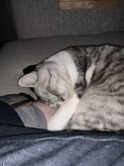 Leg love… is there another kind