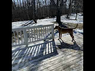 A beautiful sunny deck to enjoy your morning, coffee, grill out, gather with friends and family. The backyard is flat and perfect for yard games. It is fenced in.