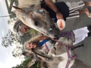 me with pets