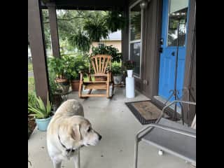 LuLu on the front porch