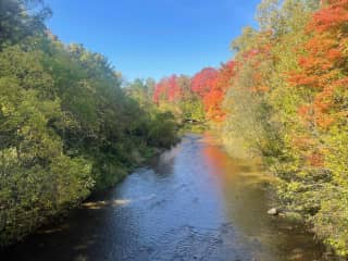 View from one of the trails at the conservation area across the road.