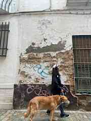 Lovely Dexy from Sevilla!!