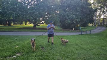 Graham with Lola and Dingo walking in Anderson Park Townsville.