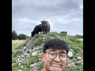 First time Sitting for Cows In Kaikoura, NZ. Sadly I had to deal with a cow abortion during the sit, but the local vet helped me dispose of the dead calf, and gave the mom antibiotics. It did give me practice with moving cattle between paddocks