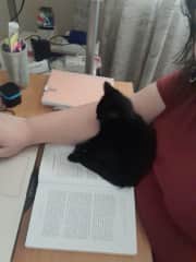 For a long time, this was the only place where Loki would sleep.