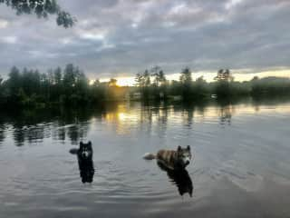 J&P also love a good swim.