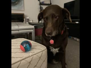 Noa waiting for playtime