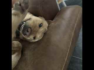 Smiling