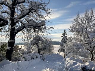 Behind the house (winter wonderland!)