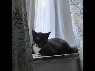 Dini inside.