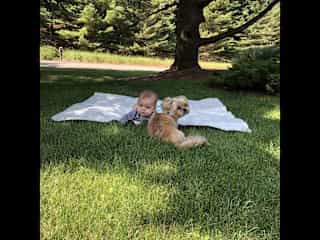We all love animals!