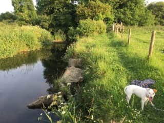The River Frome