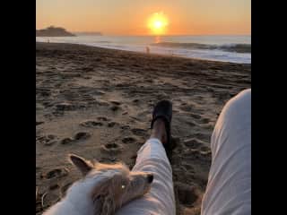 Sunset with Chester in Nayarit MX