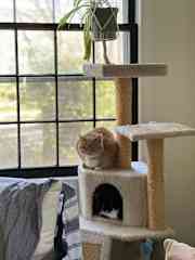 Upstairs/ downstairs
