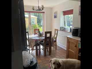Dinning/kitchen
