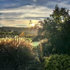 Garden view