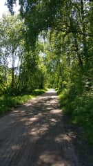 Riverside walk during summer.