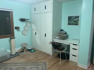 office & craft/cat room