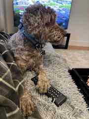 I am in control of the remote always..