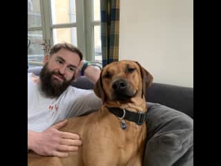 Zula - full of energy, zoomies, cuddles and love