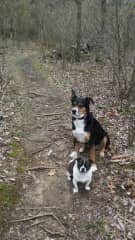Tinkerbell and Circus on a little hike with me