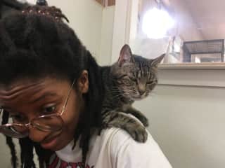 Roofie introducing me to the shoulder cat life my local animal shelter.
