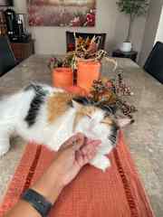 my best friend in the world, chiqui (short for chiquita, not named after bananas)