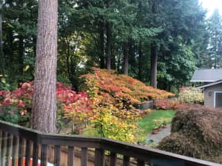 View from the kitchen, the change of wheather has made for beautiful colors!