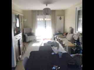 dining area & salon