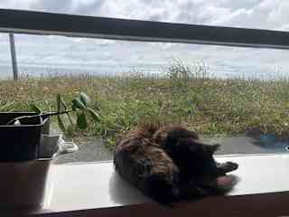 Warmth of the sun.