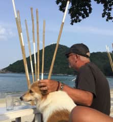 On the beaches of Thailand, bonding with this very affectionate stray dog.