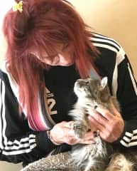 My kitty housesit in Point Arena