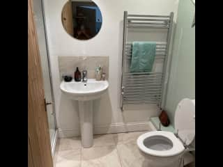 Toilet with shower