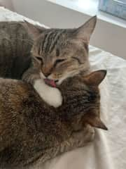 He loves to clean his sister