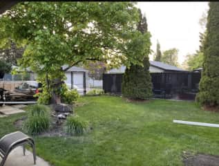 Peaceful and relaxing backyard