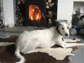 Claiming the comfiest place in front of fire place in the living room