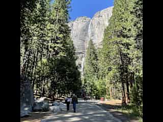 Yosemite NP