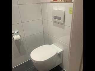 Guest Toilet
