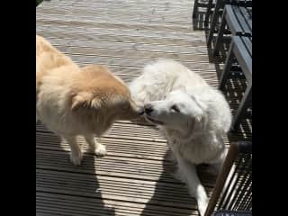 Finnbar is on the right
