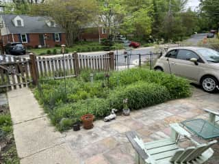 Front garden path and patio