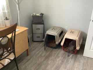 Office/dog room