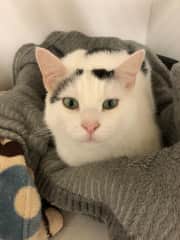 Hello!