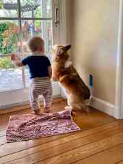 Cade & Ginger in California