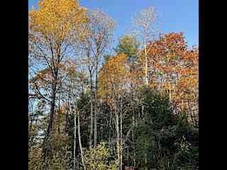 fall in vermont