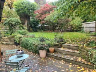 Back garden with a beautiful Japanese Acer that is turning a deep red right now.  There's also a Gingko in the corner