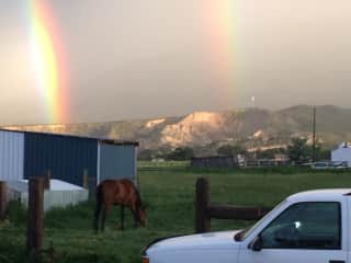 view from the house