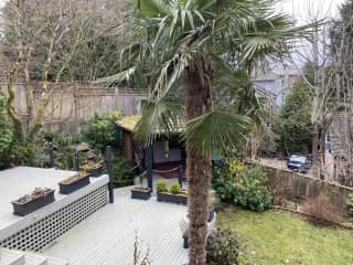Backyard space