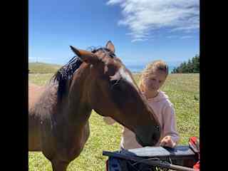 Farm work in NZ