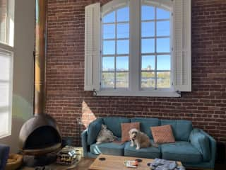 Living room with high ceilings and big windows